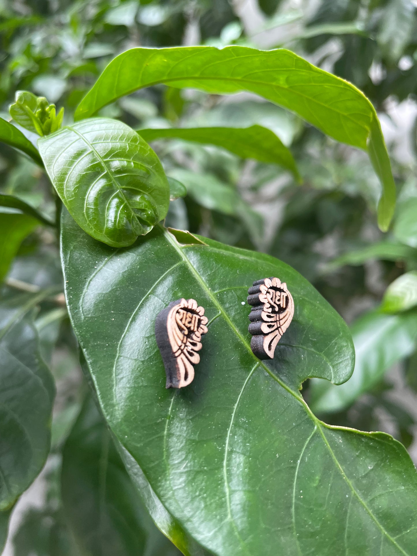 Peacock style Earrings pair