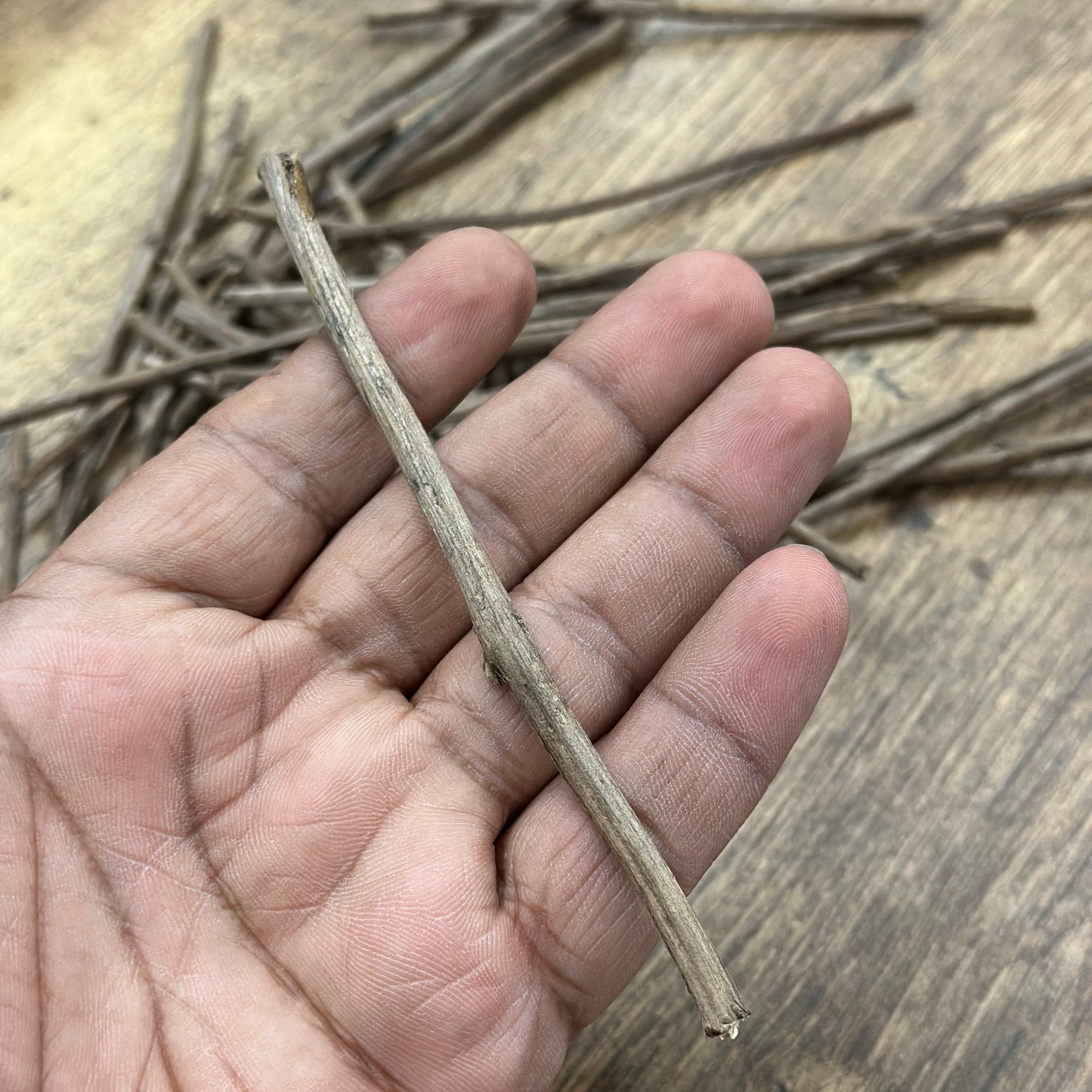 Tulsi Stick Wick by PureTulsimala.in Original Tulsi sticks directly from Vrindavan dham (tulsi batti)